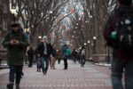 A tree-lined walkway decorated with colorful lights, with several people wearing winter clothing walking in both directions.