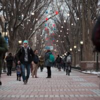 A tree-lined walkway decorated with colorful lights, with several people wearing winter clothing walking in both directions.